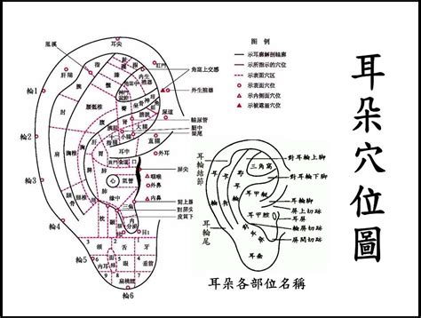 耳洞漏財|穿耳洞會破相？會影響福氣與財運嗎？